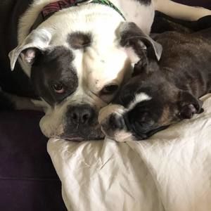 Meet your Posher, Stacey